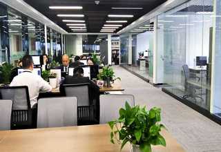 湖州室内盆栽菜基地生产厂家